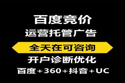 SEM推广案例：揭秘高ROI背后的策略与实践